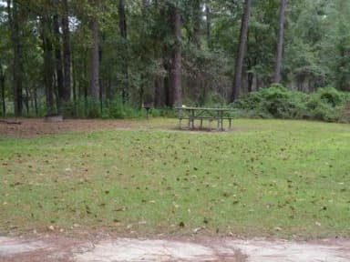 Wright Lake Campground Site 15 Site View