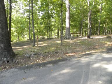 Site A37 at Piedmont Park