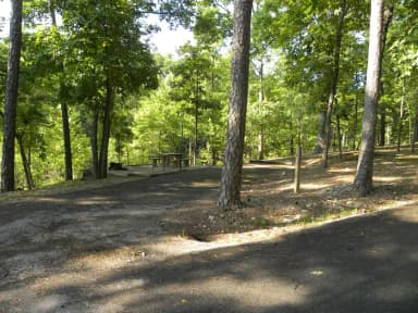 Site A38 at Piedmont Park
