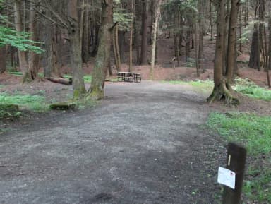 Kelly Pines Campground: Site 1