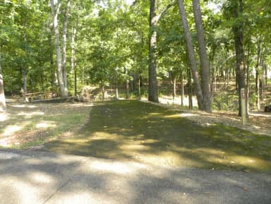 Site A41 at Piedmont Park