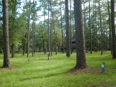 Wright Lake Campground Site 16 Site View