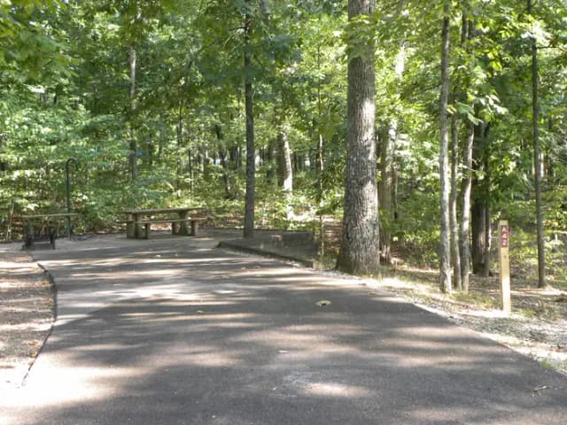 A42