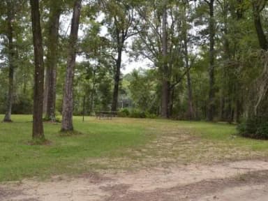 Wright Lake Campground Site 17 Site View