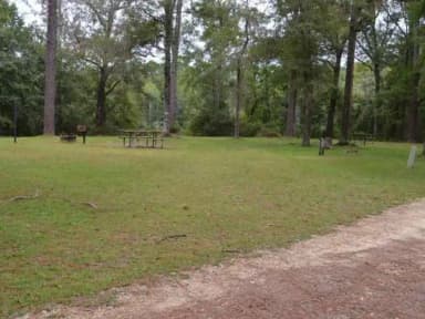 Wright Lake Campground Site 18 Site View