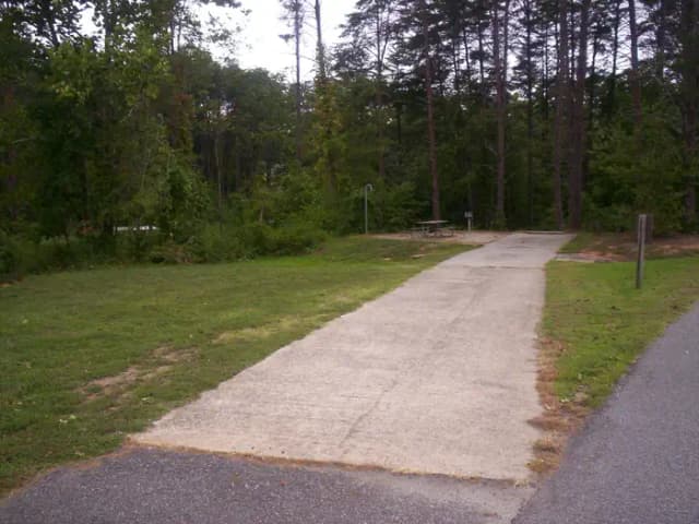 Loop BRIC · Site 01 at Bald Ridge Creek
