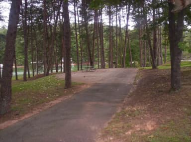 Loop BRIC · Site 04 at Bald Ridge Creek