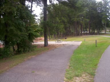 Loop BRIC · Site 07 at Bald Ridge Creek