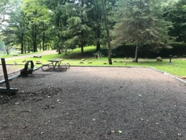 Site 002 at Mill Run Recreation Area