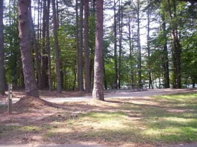 Loop BRIC · Site 11 at Bald Ridge Creek