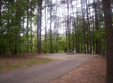 Loop BRIC · Site 12 at Bald Ridge Creek