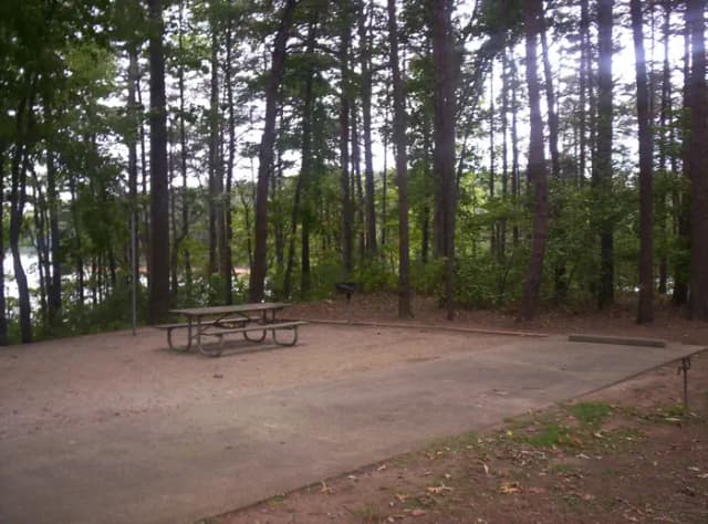 Loop BRIC · Site 13 at Bald Ridge Creek