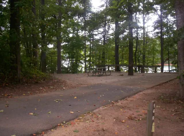 Loop BRIC · Site 14 at Bald Ridge Creek