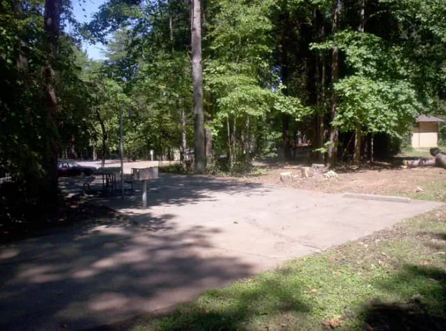 Loop BRIC · Site 15 at Bald Ridge Creek