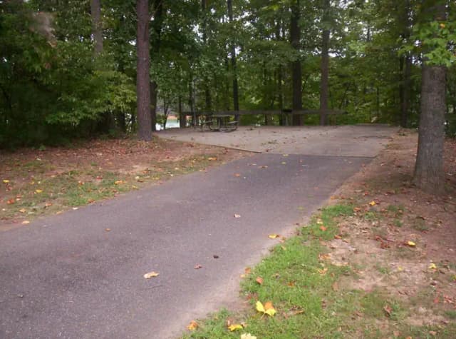 Loop BRIC · Site 16 at Bald Ridge Creek