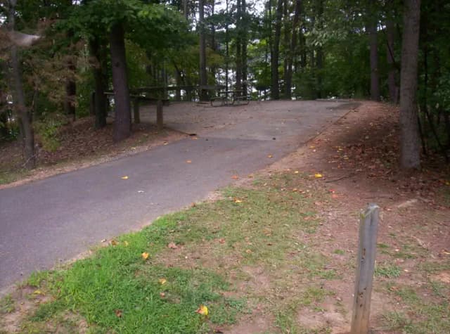 Loop BRIC · Site 17 at Bald Ridge Creek