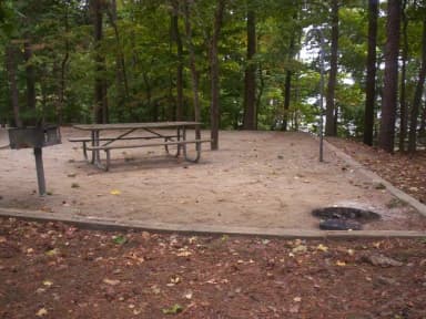 Loop BRIC · Site 18 at Bald Ridge Creek