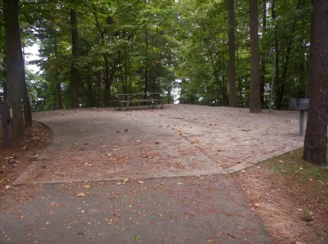 Loop BRIC · Site 19 at Bald Ridge Creek