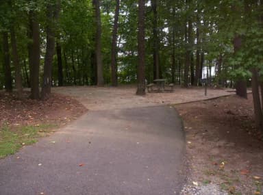 Loop BRIC · Site 20 at Bald Ridge Creek