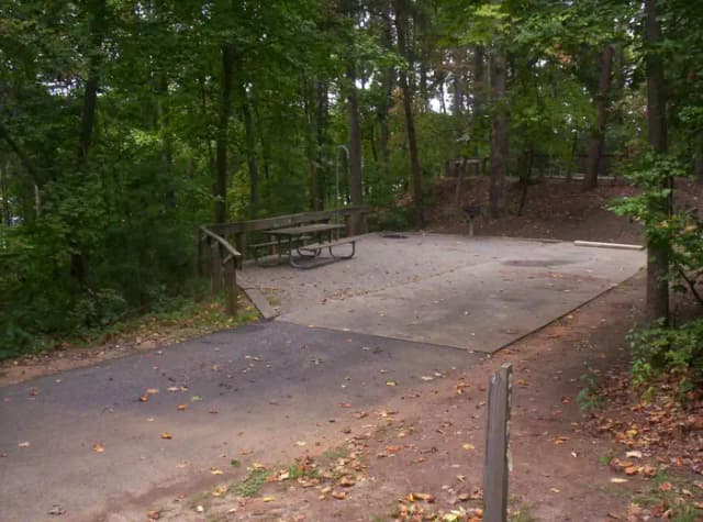 Loop BRIC · Site 21 at Bald Ridge Creek