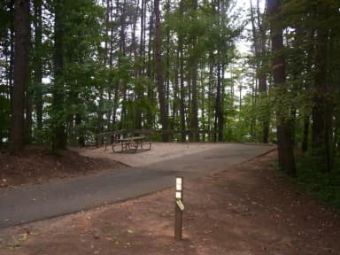 Loop BRIC · Site 22 at Bald Ridge Creek