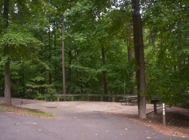 Loop BRIC · Site 25 at Bald Ridge Creek
