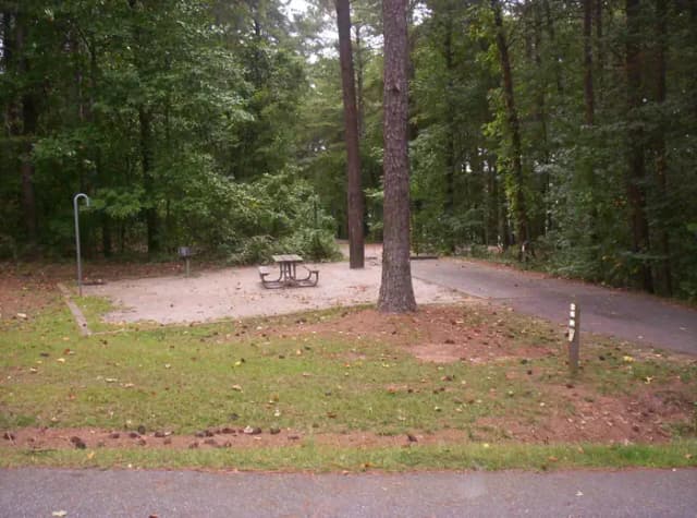 Loop BRIC · Site 26 at Bald Ridge Creek