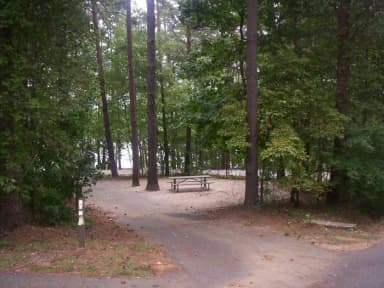 Loop BRIC · Site 27 at Bald Ridge Creek