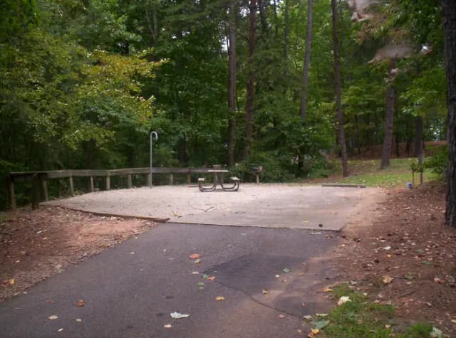 Loop BRIC · Site 28 at Bald Ridge Creek