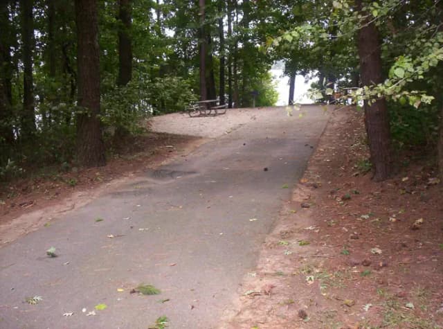 Loop BRIC · Site 29 at Bald Ridge Creek