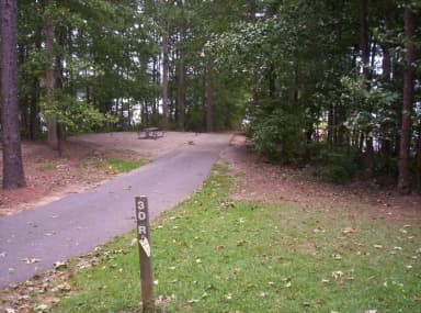 Loop BRIC · Site 30 at Bald Ridge Creek