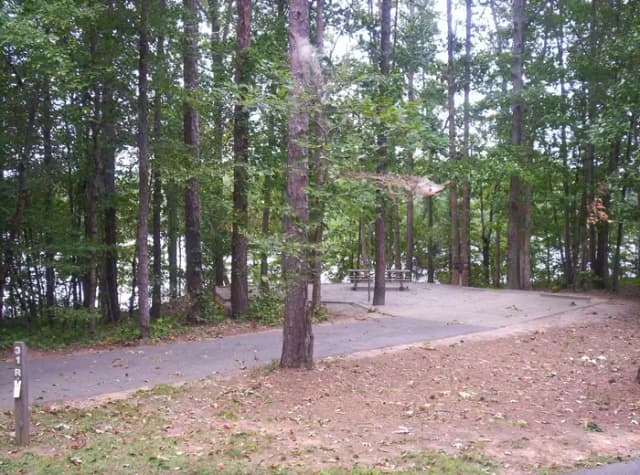 Loop BRIC · Site 31 at Bald Ridge Creek