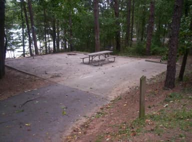 Loop BRIC · Site 32 at Bald Ridge Creek