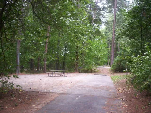 Loop BRIC · Site 34 at Bald Ridge Creek