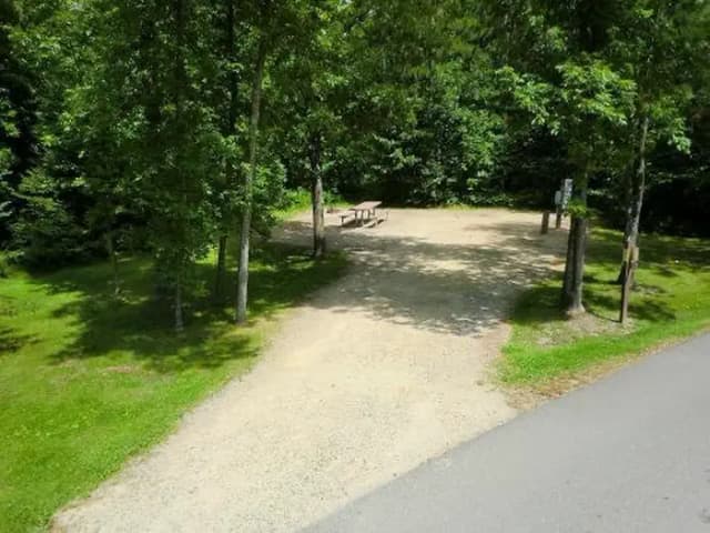 Campsite #5