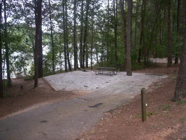 Loop BRIC · Site 35 at Bald Ridge Creek
