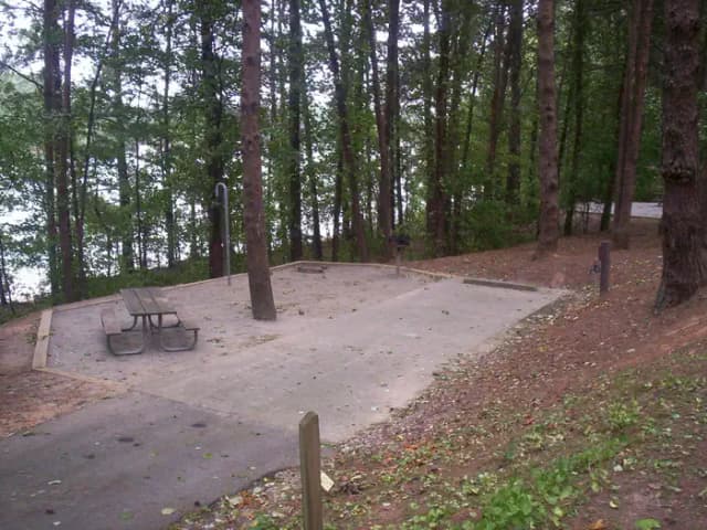 Loop BRIC · Site 36 at Bald Ridge Creek