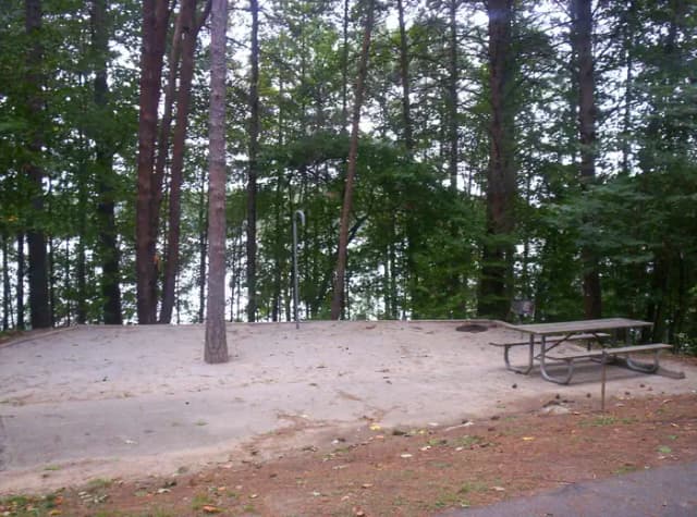 Loop BRIC · Site 37 at Bald Ridge Creek