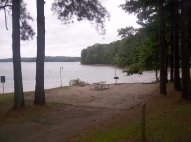 Loop BRIC · Site 40 at Bald Ridge Creek