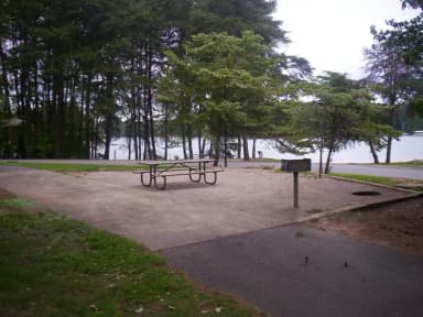 Loop BRIC · Site 41 at Bald Ridge Creek