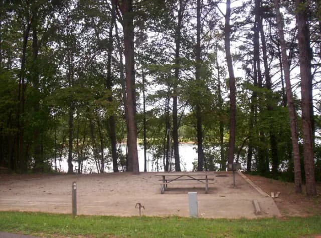 Loop BRIC · Site 48 at Bald Ridge Creek