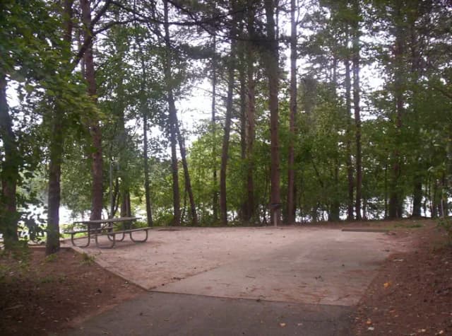 Loop BRIC · Site 49 at Bald Ridge Creek
