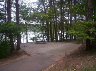 Loop BRIC · Site 50 at Bald Ridge Creek