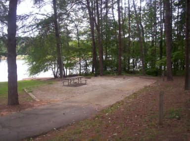 Loop BRIC · Site 53 at Bald Ridge Creek