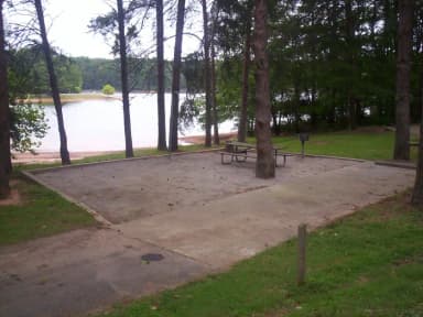 Loop BRIC · Site 54 at Bald Ridge Creek