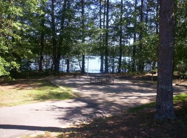 Loop BRIC · Site 56 at Bald Ridge Creek