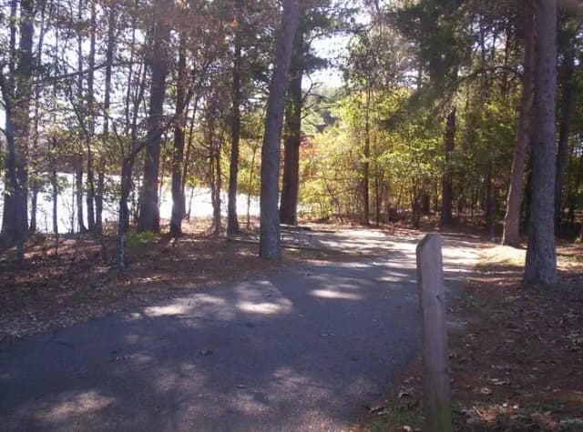 Loop BRIC · Site 57 at Bald Ridge Creek