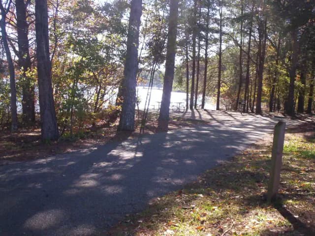 Loop BRIC · Site 58 at Bald Ridge Creek