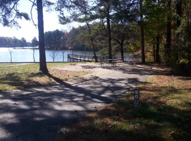 Loop BRIC · Site 60 at Bald Ridge Creek