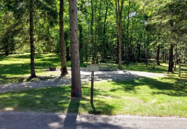 Campsite #29
